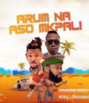 [Music] Diamond Okechi Ft. Mr Real & Duncan Mighty Arum Na Aso Mkpali Mp3 Download