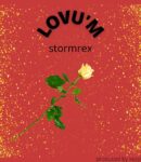 [Music] Stormrex – Lovu’m MP3