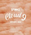 [Music] DJ Spinall – Cloud 9 ft. Adekunle Gold