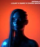 [Music] Lojay-Sarz-–-Monalisa-Remix-ft.-Chris-Brown.mp3