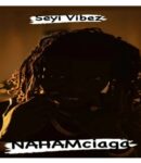[Music] Seyi-Vibez-–-SHAZAM.mp3