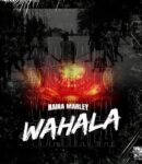 Music Video: Naira Marley – Wahala