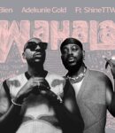 Bien – Wahala Ft. Adekunle Gold & ShineTTW