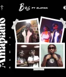 Bims – Amapiano (Remix) ft. Zlatan