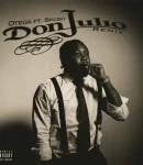 Otega – Don Julio (Remix) ft. Skiibii