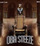 Slimcase - Oba Steeze ft. Qdot