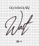 Oluwadolarz – Wait