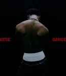 Wizkid – Kese (Dance)