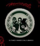 DJ Tunez – Promiscuous ft. Wande Coal & Libianca