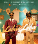 Ayanfe – Laba Laba (Remix) Ft. Fireboy DML & DJ Latitude