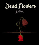 Llona-Dead-Flowers