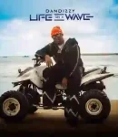 Dandizzy-Life-On-A-Wave-EP-Album