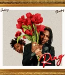 Joeboy-Ring-ft-Shoday-768×768