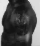 Ruger-Muhammad-Ali-Cant-Relate-artwork