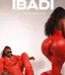 Teee-Dollar-Ibadi-artwork-274×300