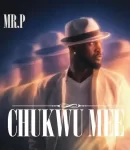 Mr.-P-Chukwu-Mme-300×300